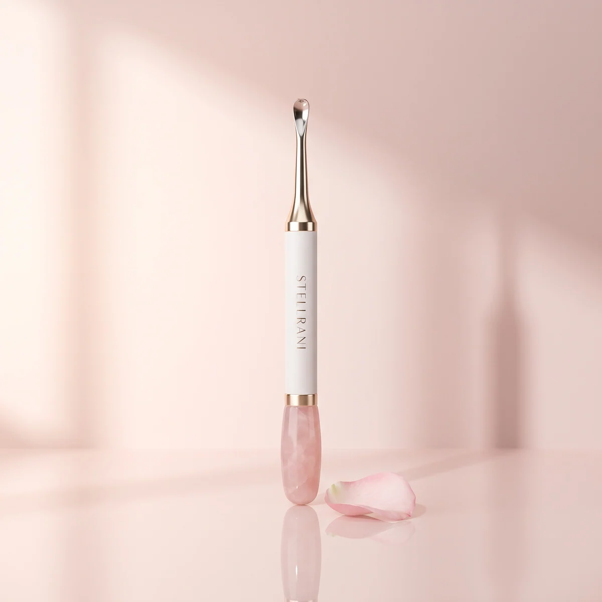 Sistem Extractor Puncte Negre Stellrani